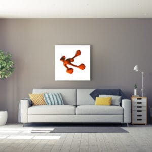 Flossi Gross IV, Orange – Bild 2