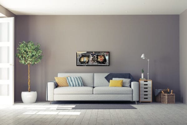 Skyyloft - Steve McQueen Dollar 2