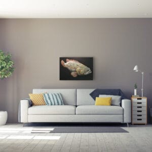 Zackenbarsch – Bild 2