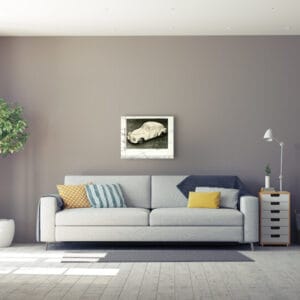 Wrapped Automobile Volvo – Bild 3