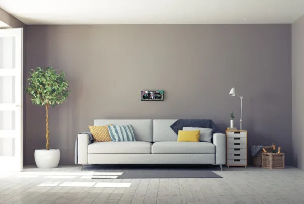 Skyyloft - USA Dollar