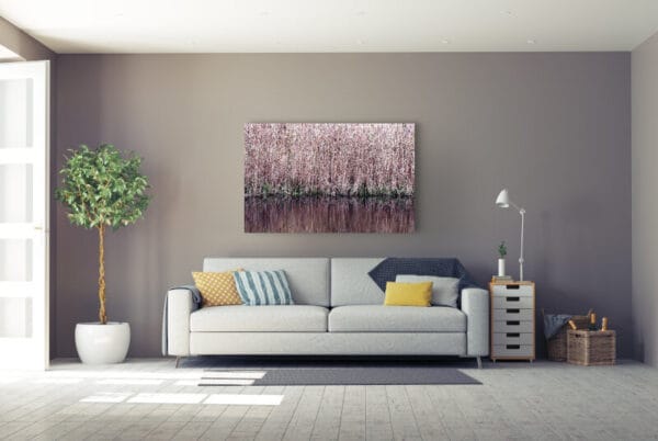 Andreas Lutherer - Wind Swayed Reed