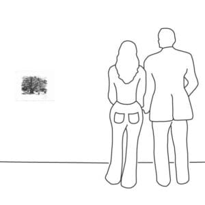 Alte Kiefer in der Heide – Bild 3