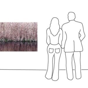 Wind Swayed Reed – Bild 3