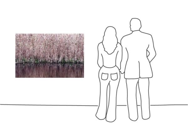 Andreas Lutherer - Wind Swayed Reed